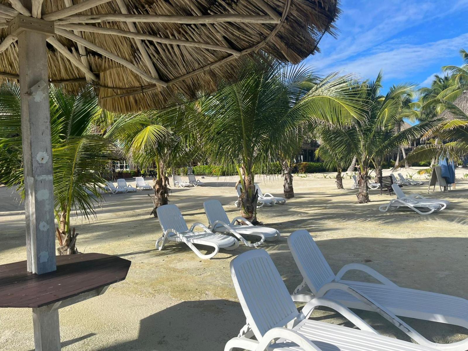 Captain Morgan'S Retreat San Pedro  Extérieur photo